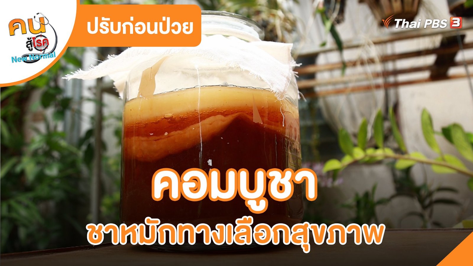 ชาหมัก